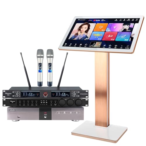 2021 New Chinese Karaoke Machine inandon-KV-V5 MAX Karaoke Player, with Reverb Wireless Microphone