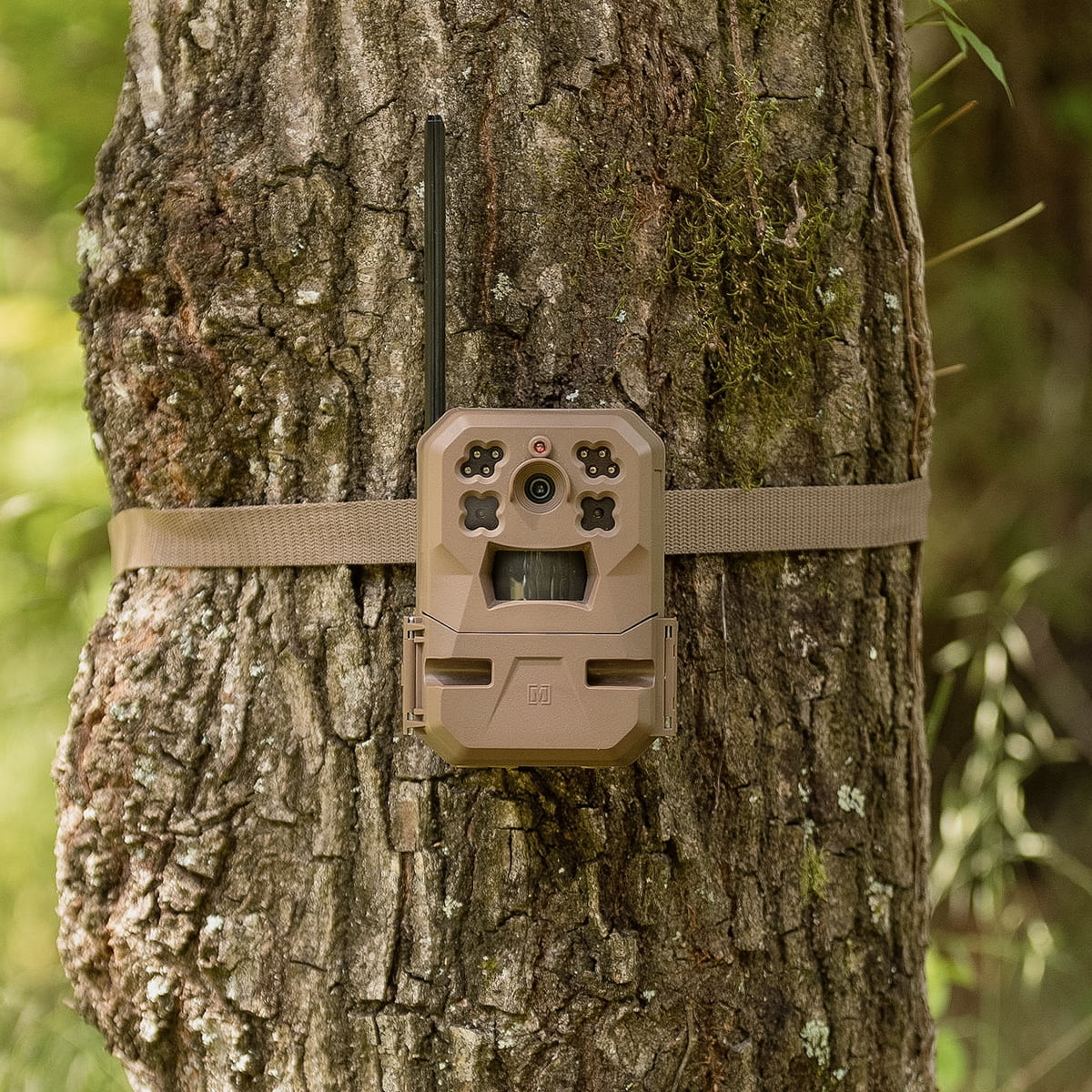 Moultrie Mobile EDGE Nationwide Cellular Trail Camera with Built-in Memory and 33MP Images (2-Pack)