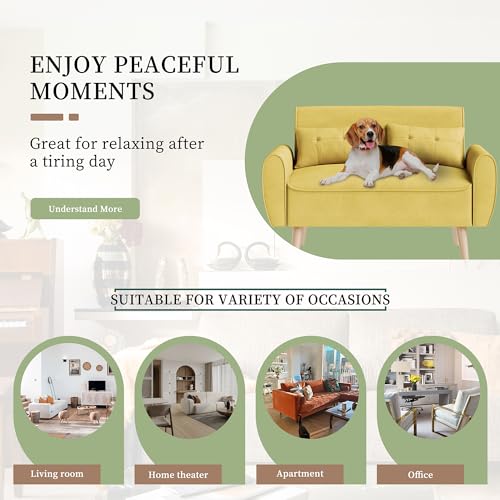Vongrasig 47" Small Modern Loveseat Sofa