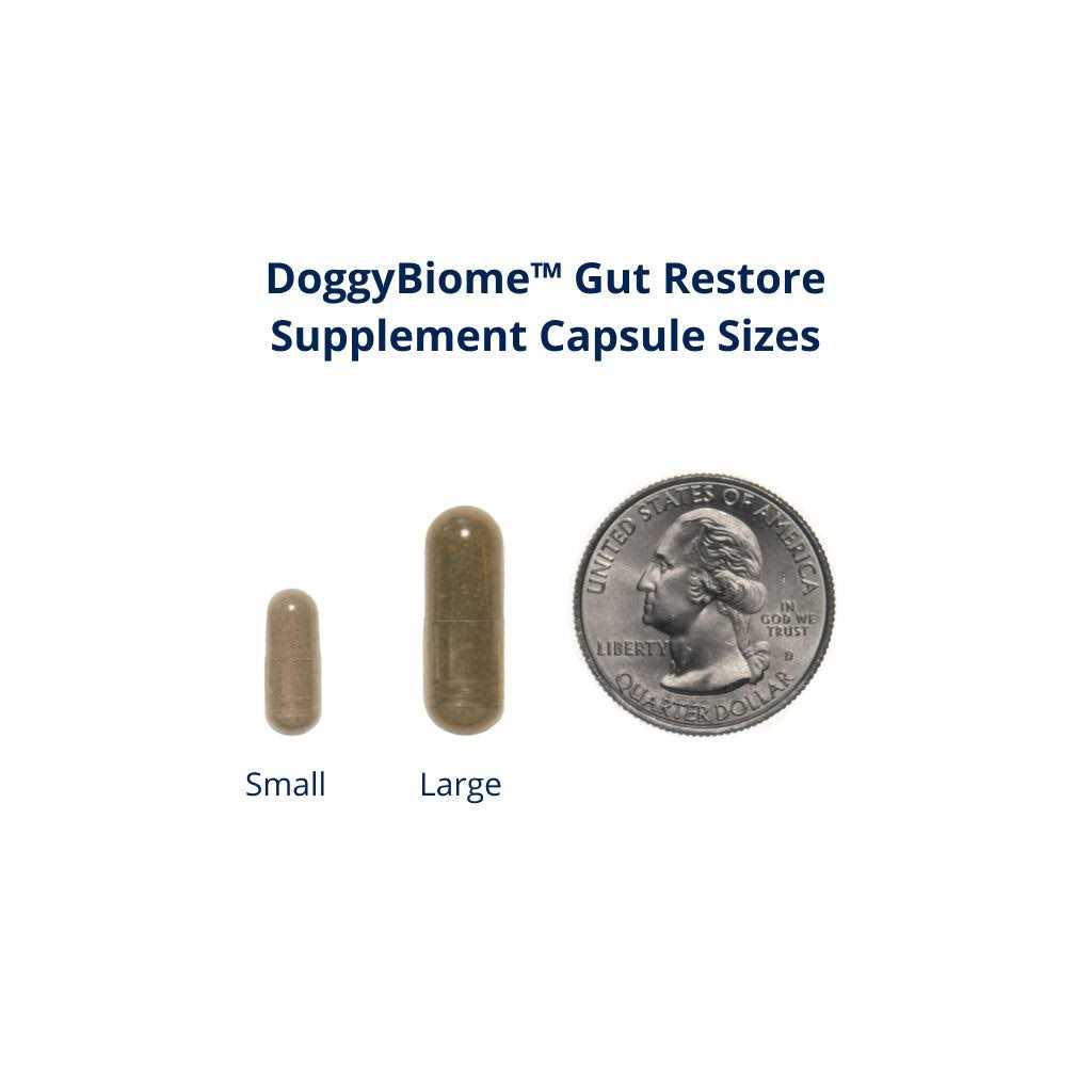 DoggyBiome Gut Restore Supplement 30 Capsules - Pet Supplies online store