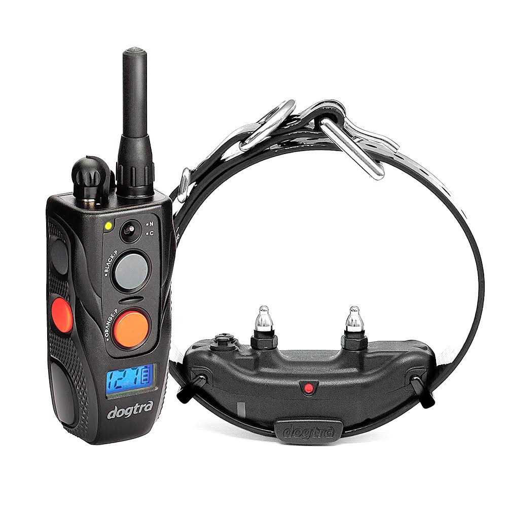 Dogtra ARC Remote Training Collar - Pet Supplies online store