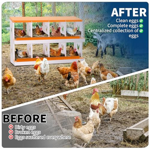 Garvee Chicken Nesting Box with Removable Tray, 8 Compartment Nesting Boxes for Chickens, Easy to Clean and Install