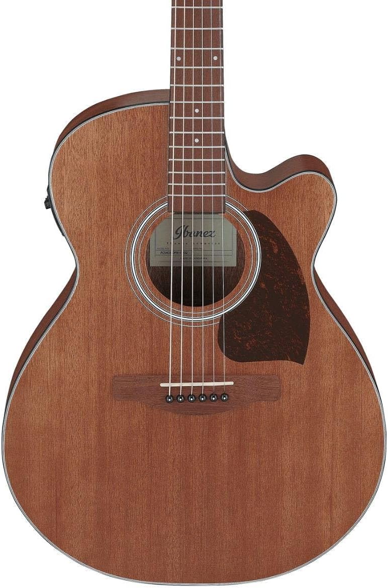 Ibanez PC54CE Acoustic-electric Guitar - Natural