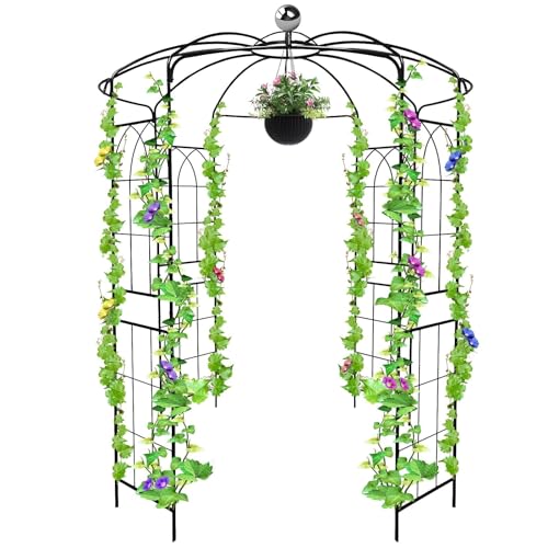 9.5FT Birdcage Shape Garden Arch