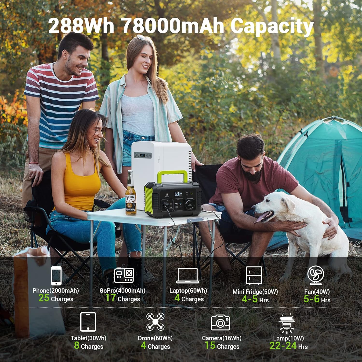 PAXCESS Portable Power Station with Solar Panel Included, 300W Solar Generator with 60W Foldable Solar Panel