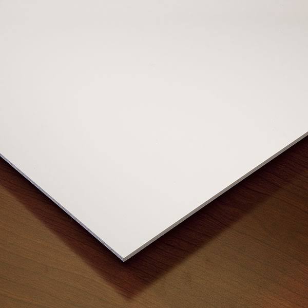 Genesis 2ft x 4ft Smooth Pro White Lay in Ceiling Tile, Case of 10