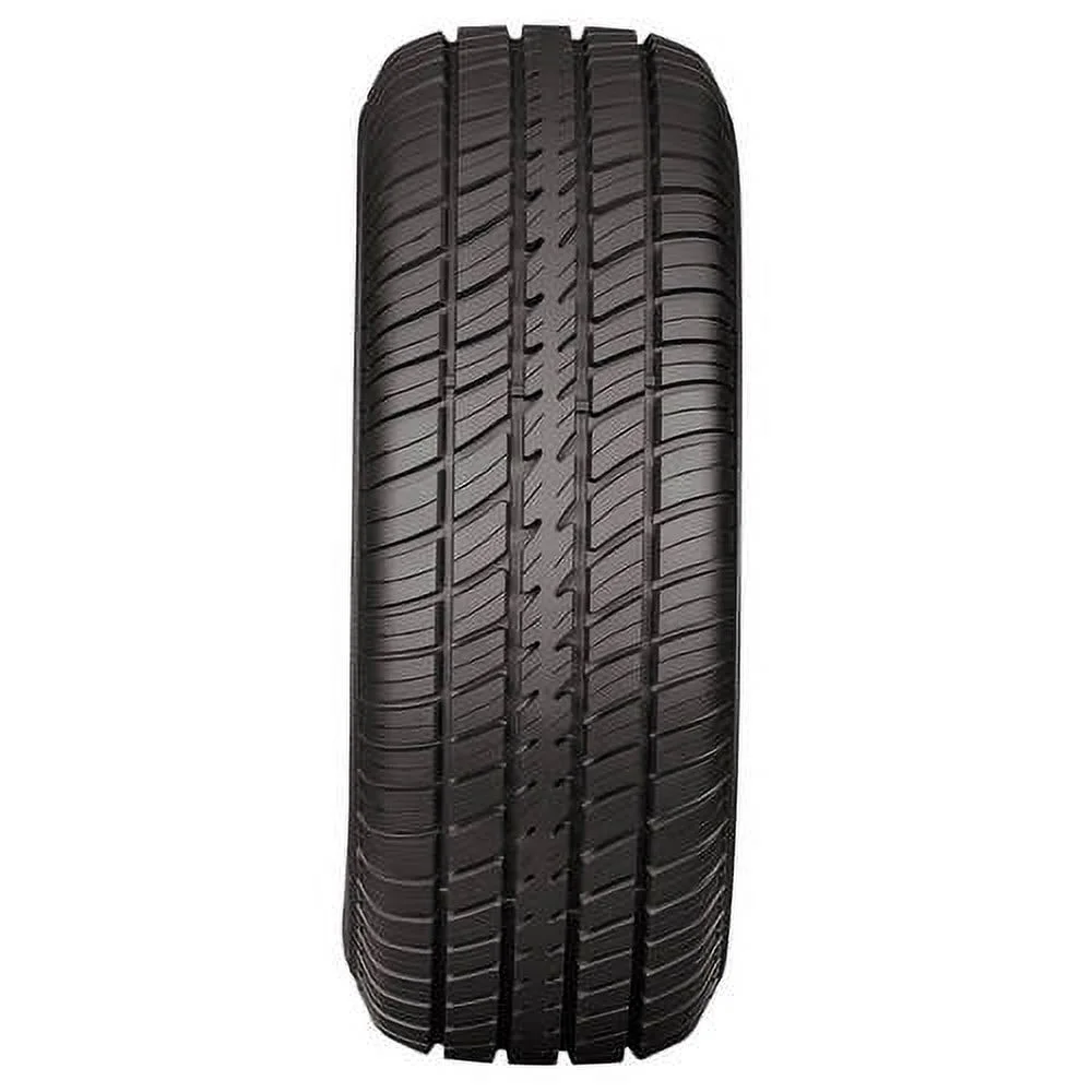 Cooper Cobra Radial G/T P255/60R15 102T WL (2 Tires)