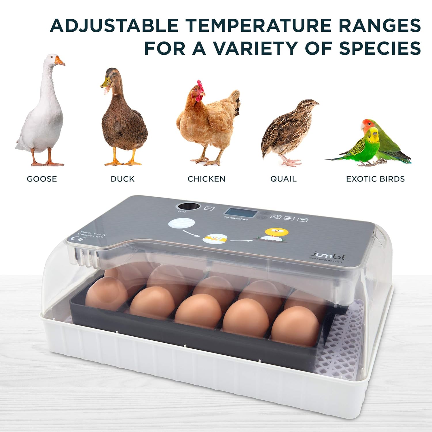 Jumbl Clear Egg Incubator, Fully Automatic Digital Poultry Hatching Machine, Temperature Control & Automatic Egg Turner, LED Candler