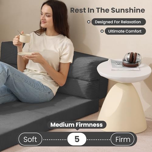 Folding Sofa Bed, Convertible Sleeper Chair with Pilow Foldable Matress