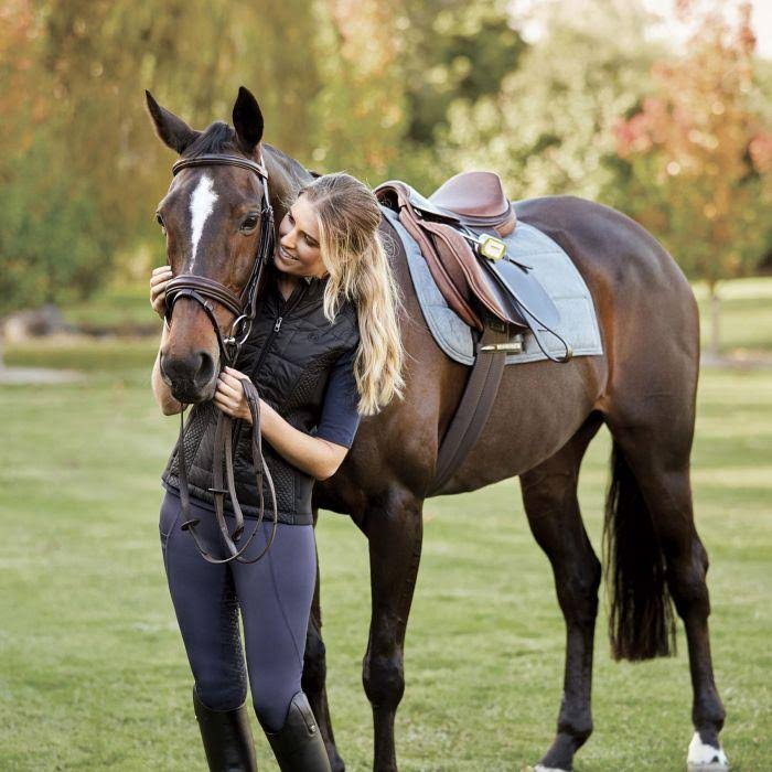 Collegiate Scholar All Purpose Saddle with Round Cantle - 18 / Brown