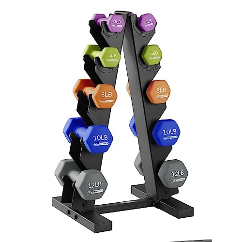 HolaHatha Neoprene Dumbbell Free Hand Weight Set with Rack, Ideal for Home Exercises to Gain Tone and Definition