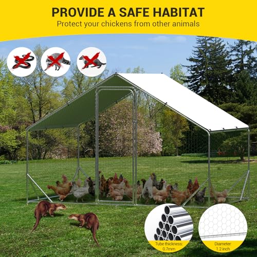 Large Metal Chicken Coop, Walk-in Poultry Cage