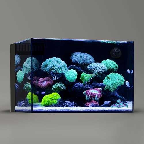 Landen 60P 26.23 Gallon Ultra Clear All Glass Rimless Low Iron Aquarium Tank with Rear Filtration Chamber for Salt and Fresh (Return Pump Included)