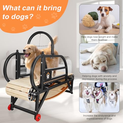 Dog Treadmill 77inches Extended and Enlarged Suitable for Medium to Large Dogs, Weighing Under 300 pounds