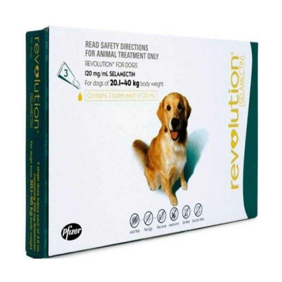 Revolution Teal 6 Pack - Pet Supplies online store