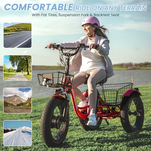MOONCOOL Electric Tricycle for Adults, 20" x 4" Fat Tire Electric Trike, 48V 500W Motorized Electric Bicycle Bikes