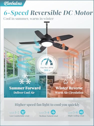 42 Inch Waterproof Outdoor Ceiling Fan with Lights and Remote,IP65 Hanging Gazebo Fan with 3CCT 6-Speed DC Motor