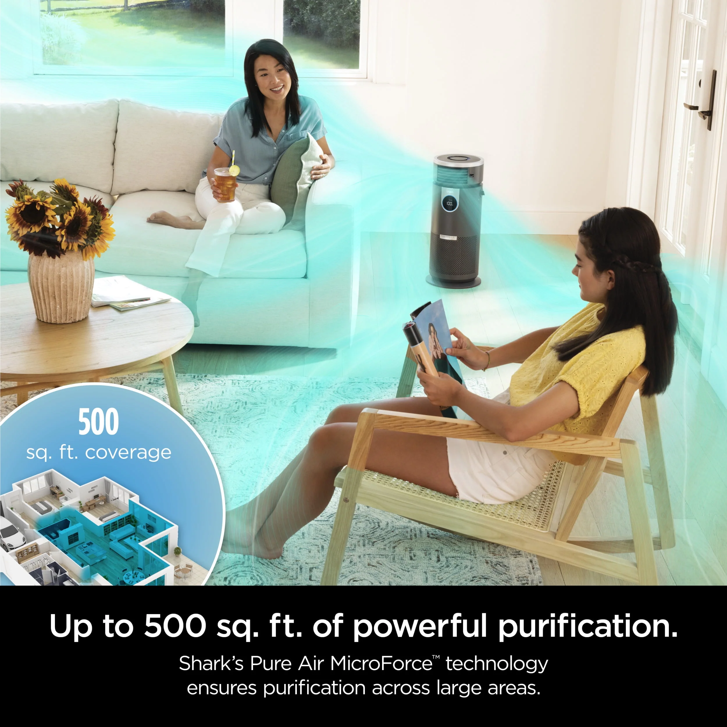 Shark Air Purifier with Nanoseal HEPA, Cleansense IQ, Odor Lock, Cleans up to 500 Sq. Ft, Charcoal Grey, HP100