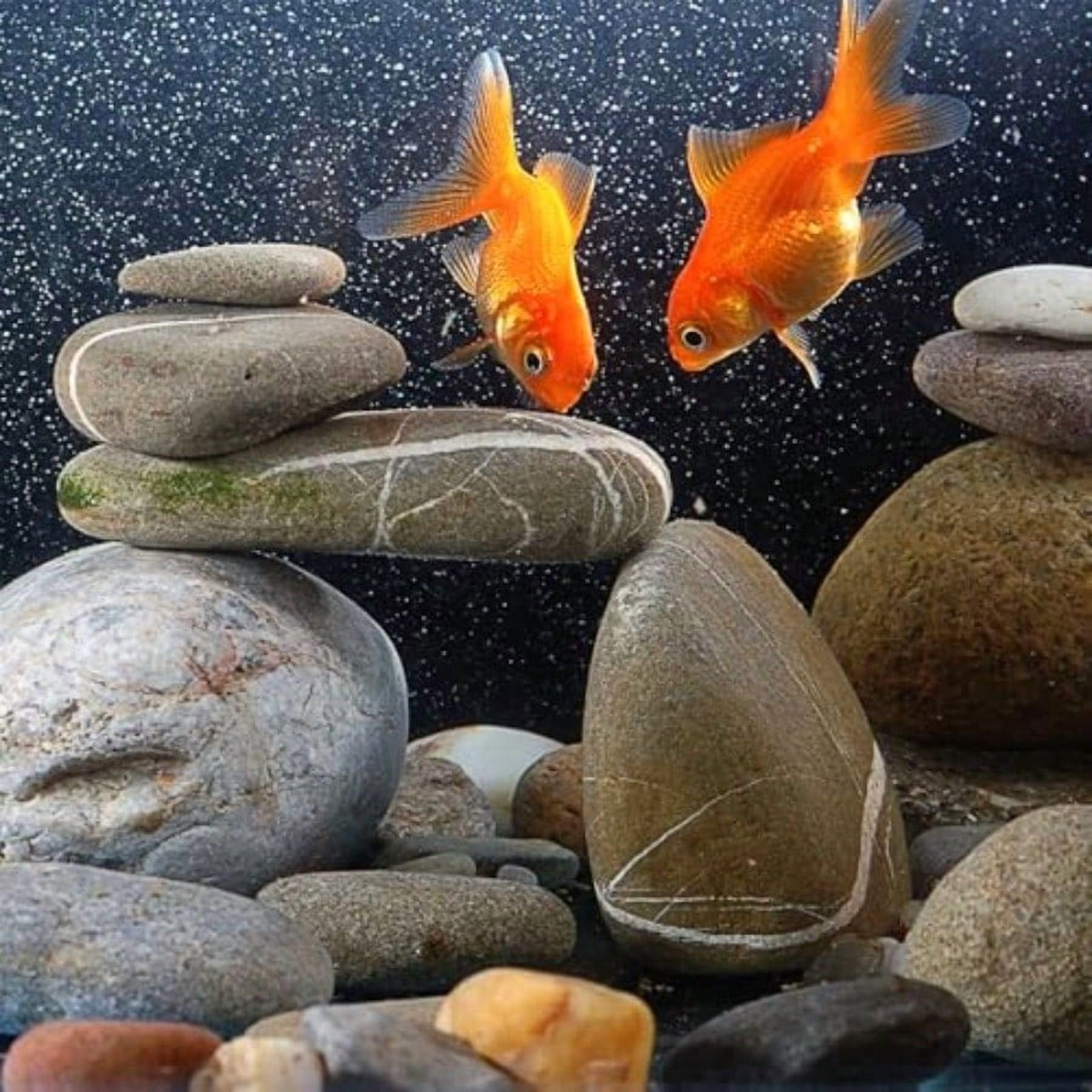 40 lbs River Rocks for Landscaping 2-3 Decorative Garden Stones for Plants Flower Pots Vase Walkways Yard Natural Rocks for Aquarium Fish Tank