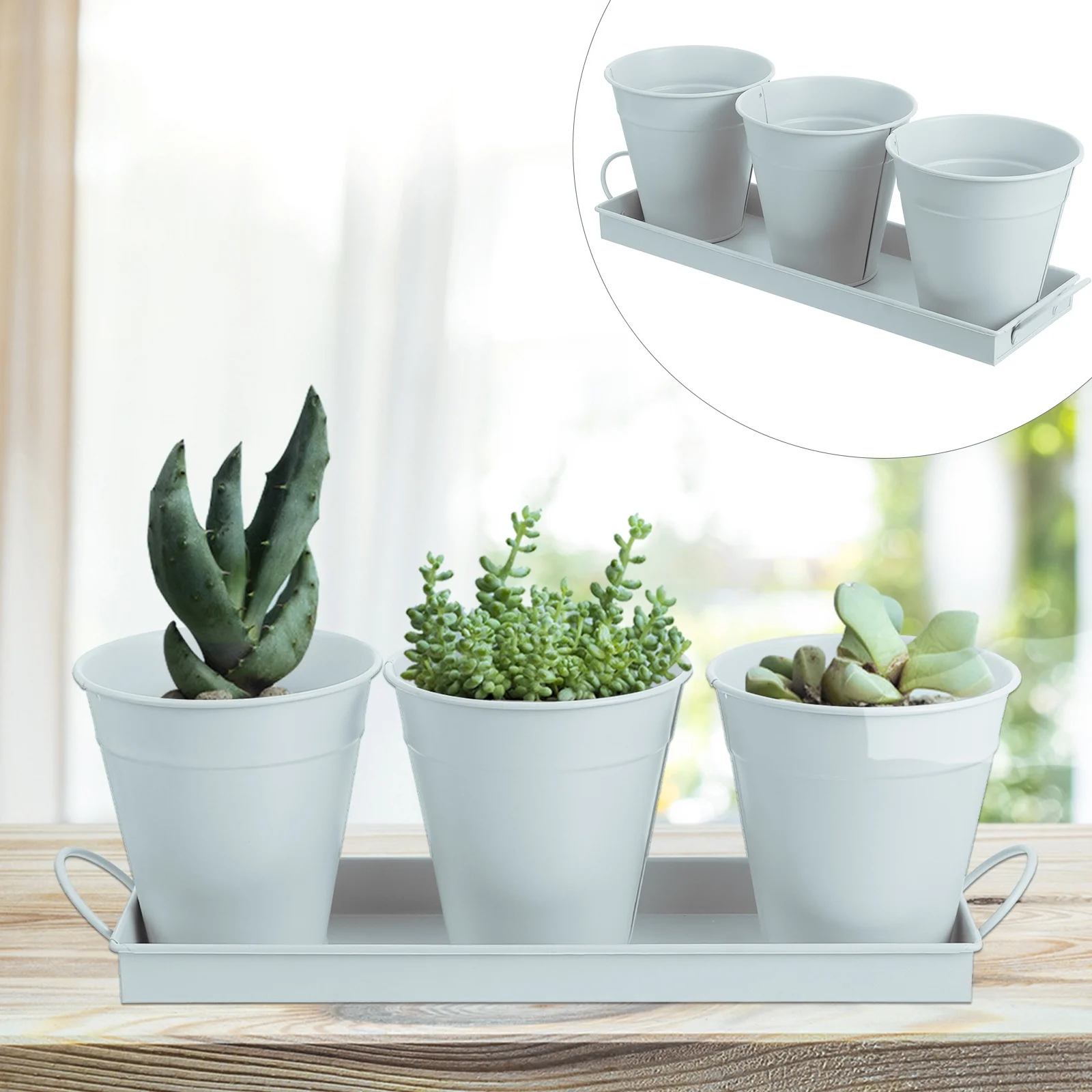 6 pcs Garden Flower Pot with 1pc Tray Succulents Utensil Holder