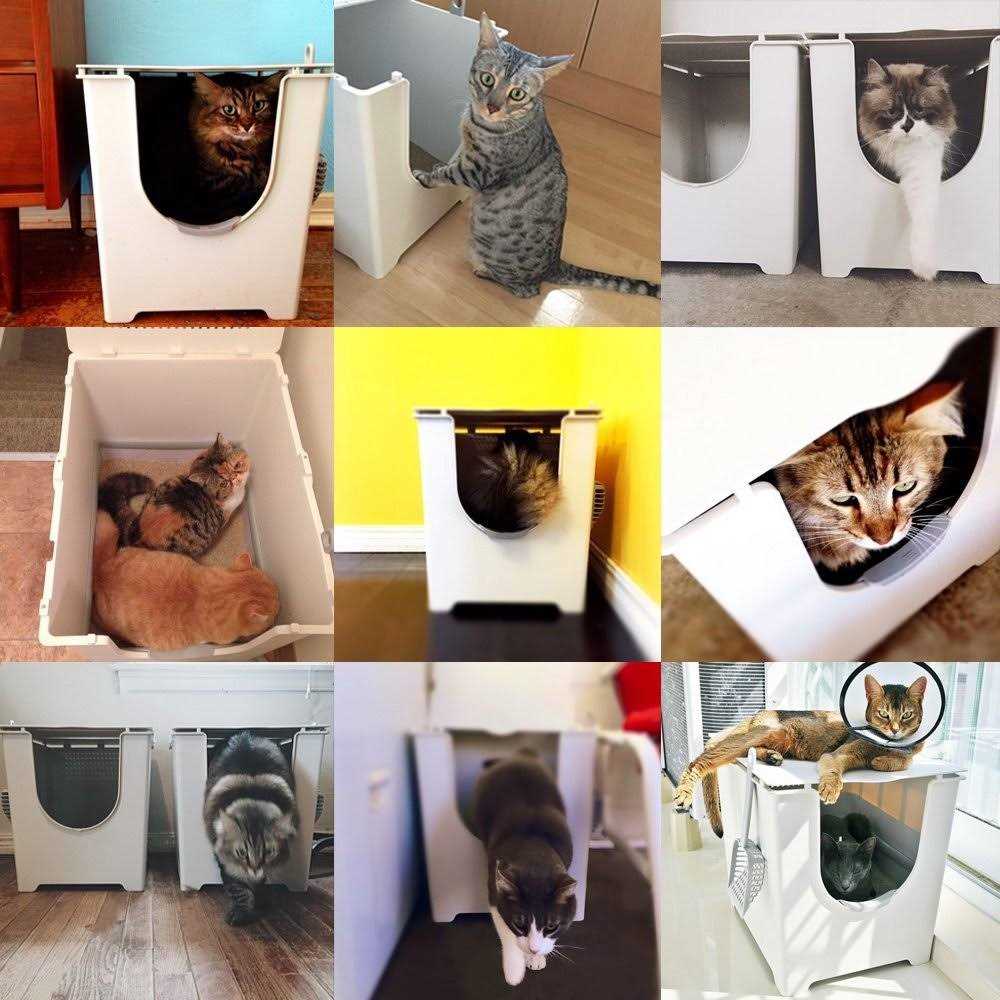 Modkat Flip Litter Box with Scoop and Reusable Liner - Pet Supplies online store