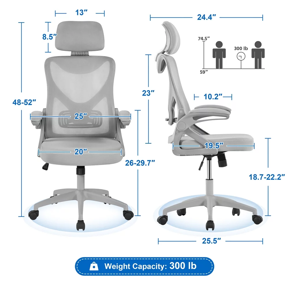 Alden Design Ergonomic Mesh Office Chair with High Back, Black