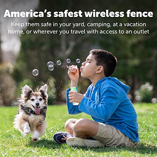 PetSafe Original Wireless Electric Fence for Dogs, Portable for Travel Covers Up to 1/2 Acre, Waterproof Collar for Pets 8lb+ with Tone/Static (Gray)