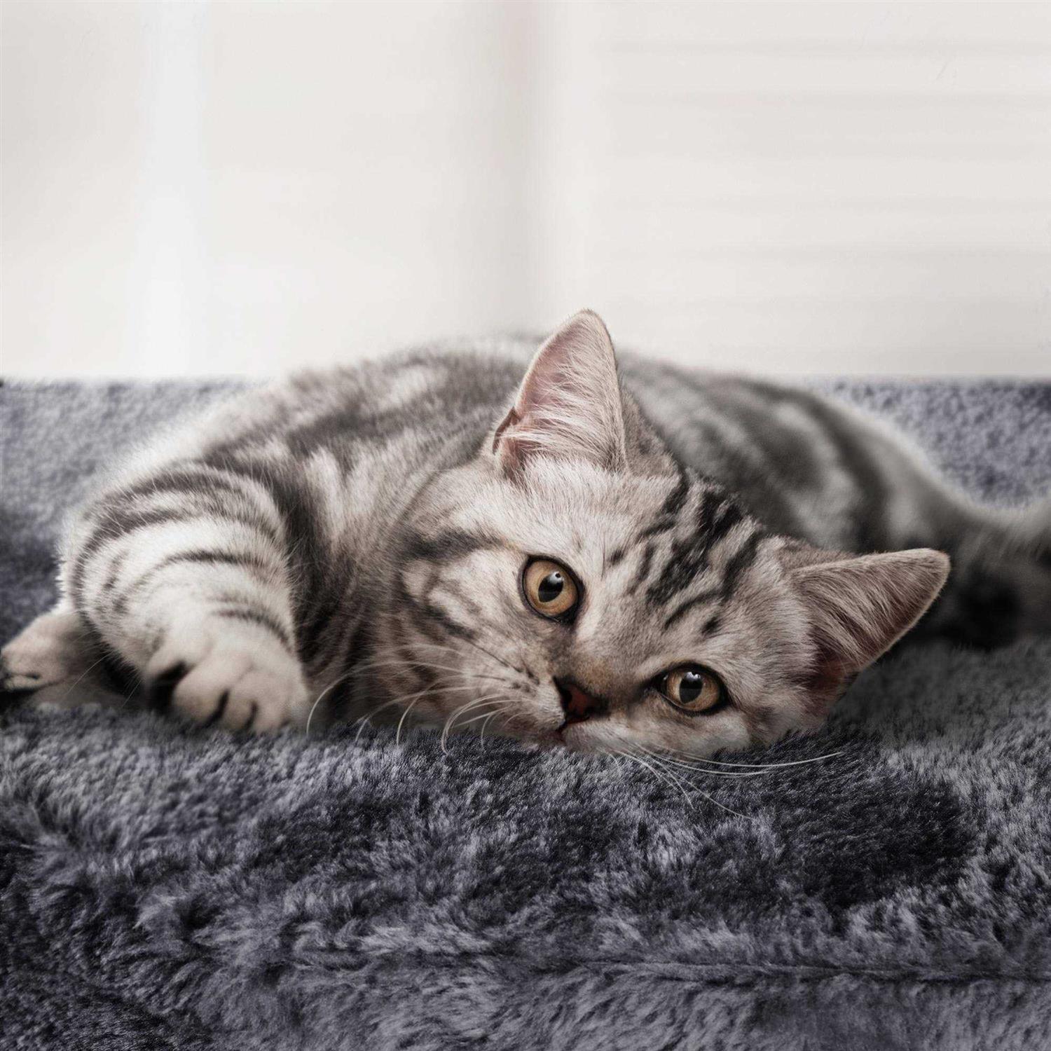 Topeakmart Medium Plush Cat Tree Condo with Basket - Pet Supplies online store