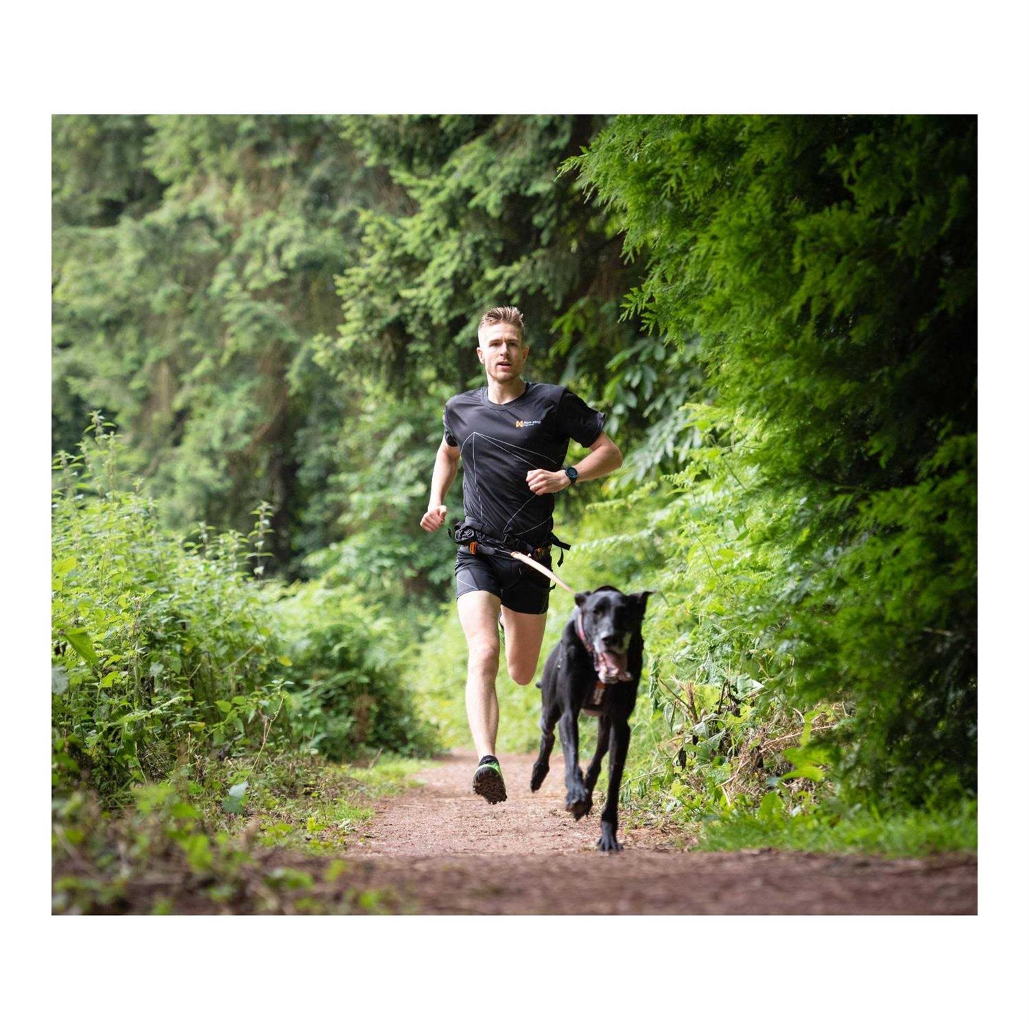 Non-stop Dogwear CaniX Belt - Pet Supplies online store