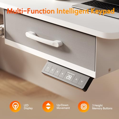 48x24 Inches Electric Standing Desk with 2 Drawers, Height Adjustable Stand up Desk for Home Office, Ergonomic Sit to Stand Table with Storage Shelf