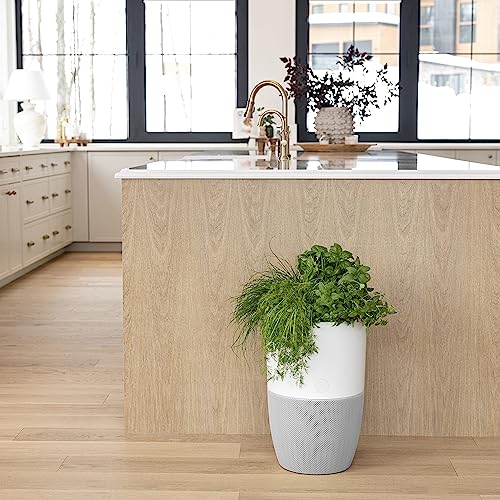 Dupray Bloom™ Air Purifier for Large Rooms with Planter or Custom Accent Table Design | For Home, Bedroom, Office, Dust