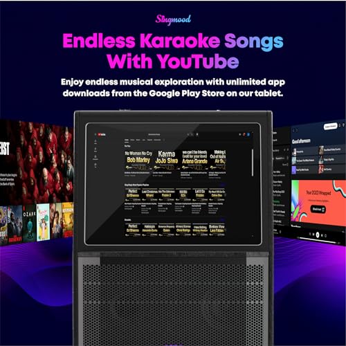 Karaoke Machine for Adults, with Lyrics Display, Smart Portable Big Bluetooth Speaker 2 Wireless Microphones