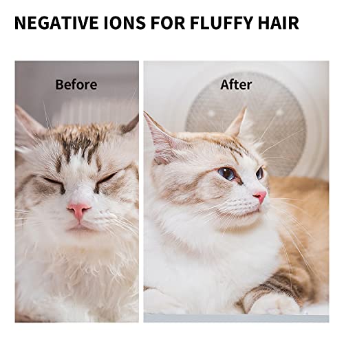 PETKIT AIRSALON MAX Automatic Pet Hair Drying Box for Cat Puppy Kitten,Ultra Quiet Hair Dryer for Small Dog Grooming