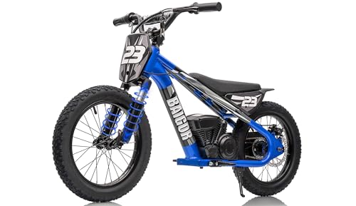 wanan Electric Dirt Bike for Kids 6-12 with Shock-Absorbing Front Fork, 250W Electric Motorcycle Up to 15.5MPH, 24V Detachable Battery, 16''