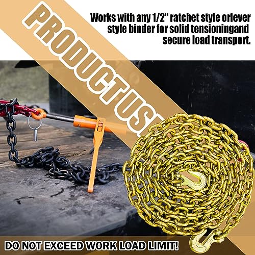 G80 Transport Binder Chain 5/16 Inch x 20 Foot | Tow Chain with Clevis Grab Hooks | 4