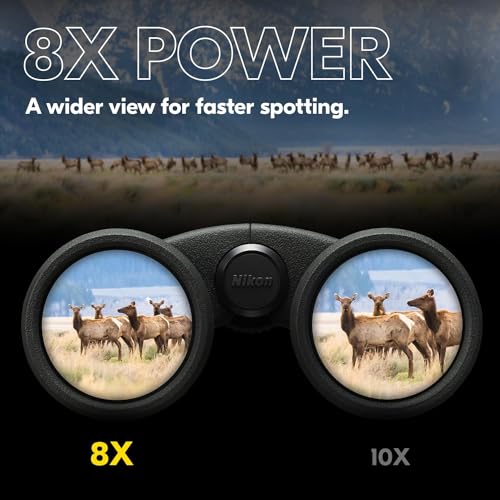 Nikon PROSTAFF P3 8x42 Binocular | Waterproof, fogproof, rubber-armored Full-Size Binocular