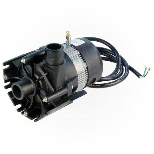 Laing E10 Circulation Pump - 115V - 74069