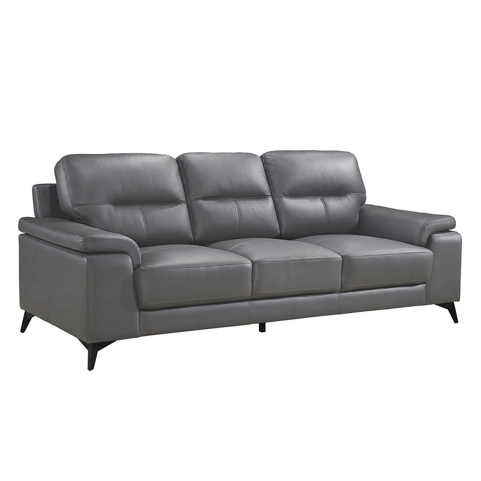 Lexicon Mischa Leather 2-Piece Upholstered Sofa Set in Dark Gray