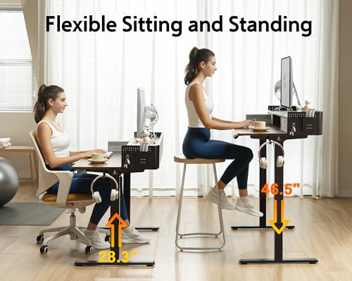 48x24 Inches Electric Standing Desk with 2 Drawers, Height Adjustable Stand up Desk for Home Office, Ergonomic Sit to Stand Table with Storage Shelf