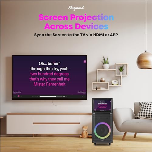 Karaoke Machine for Adults, with Lyrics Display, Smart Portable Big Bluetooth Speaker 2 Wireless Microphones