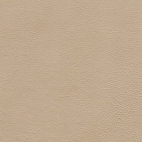Abbyson Living Top Grain Leather Loveseat, Cream