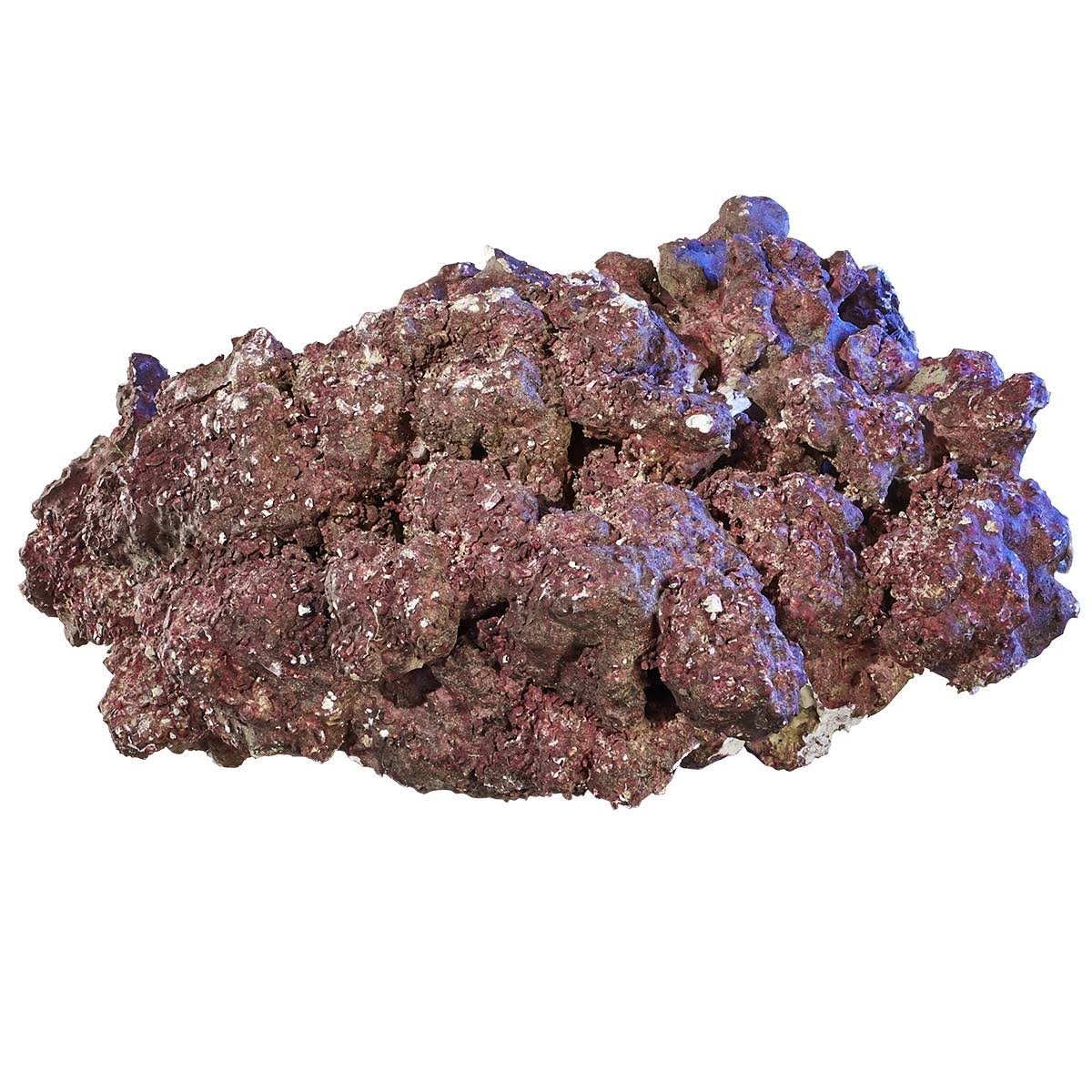 55 Pounds Real Reef Rock - Nano - Real Reef Solutions