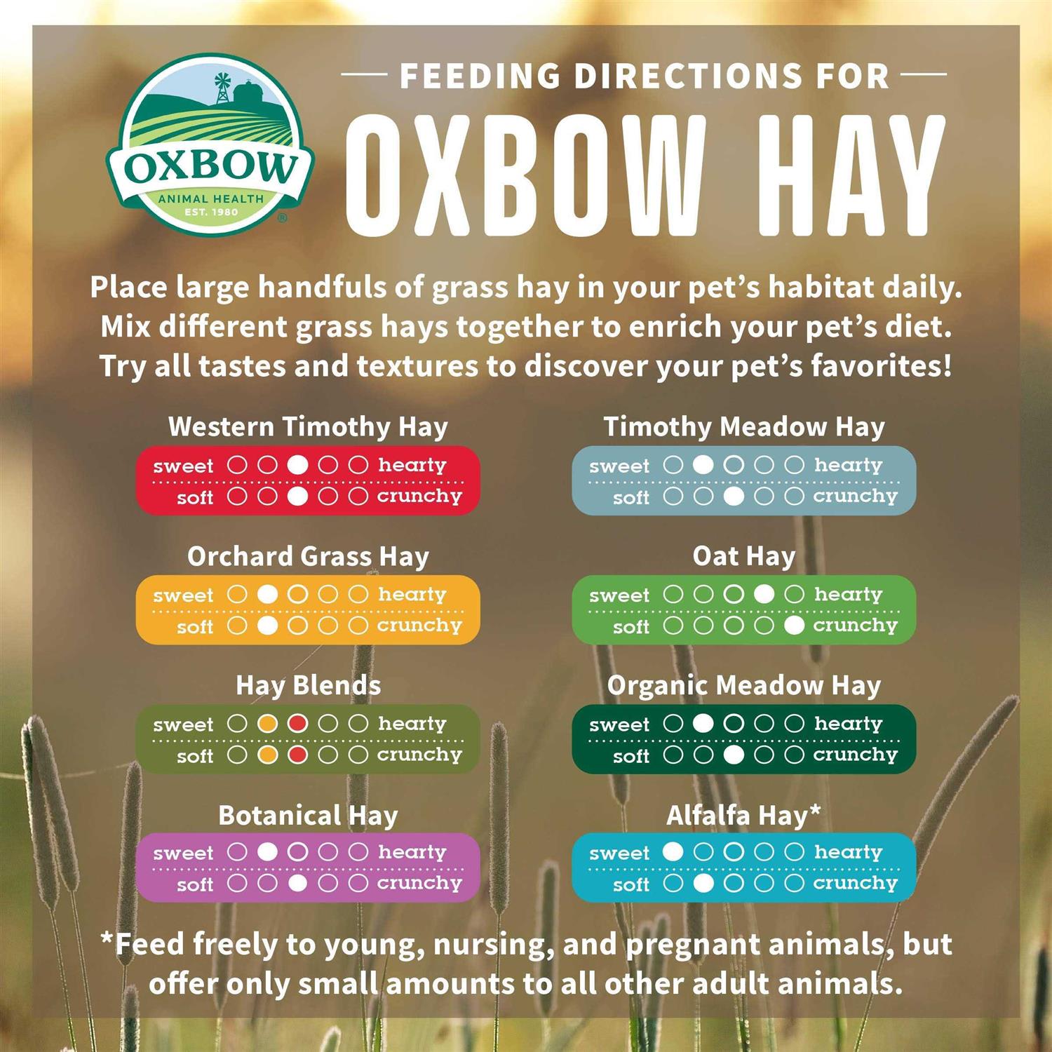 Oxbow Animal Health Orchard Grass Hay - Pet Supplies online store