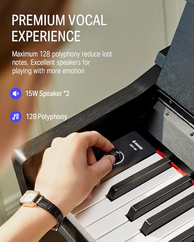 Donner DDP-90 Digital Piano, 88 Key Weighted Piano Keyboard for Beginner/Professional W/Three Pedals, Supports U-disk Music Playing