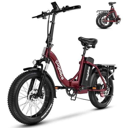 1000W Folding Electric Bike,48V 20AH Removable Battery E Bike,30+MPH,80 Miles Max Range Electric Bike for Adults,20" Fat Tire Foldable ebike