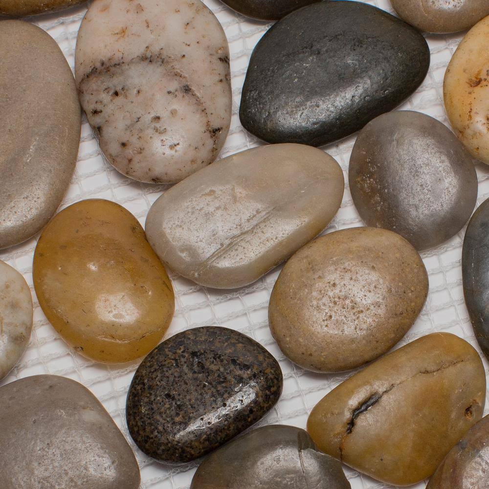 Rainforest 12 in. x 12 in. Mixed Mid-Polish Pebble Stone Floor and Wall Tile (5.0 Sq. ft. / CASE)