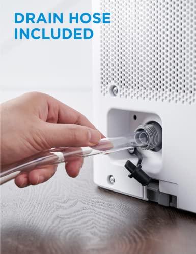 Midea Cube Dehumidifier for Basement, Crawlspace, Drain Hose Included, Smart Control - Radiant Selections