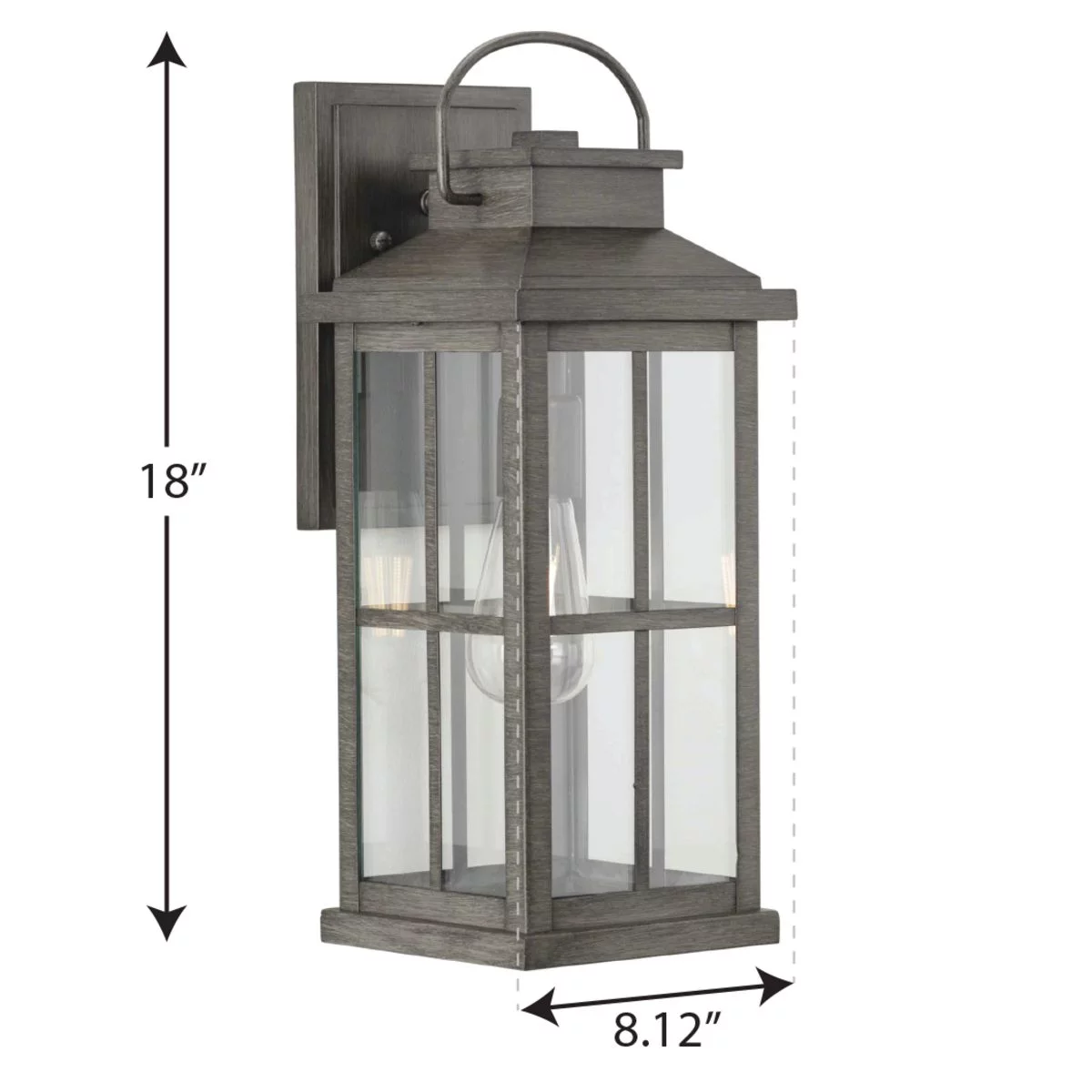 Williamston Collection One-Light Antique Pewter and Clear Glass Transitional Style Large Outdoor Wall Lantern