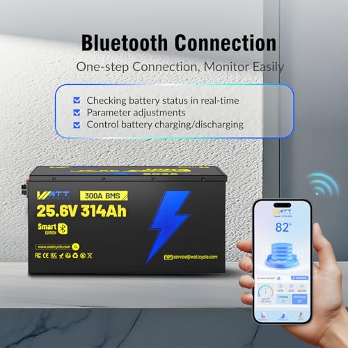 12V 314Ah Mini LiFePO4 Lithium Battery with Bluetooth 5.0, 200A BMS, 4.01kWh Energy, Upgraded Aluminum Cooling Fins & Braided Copper Wires, for RV