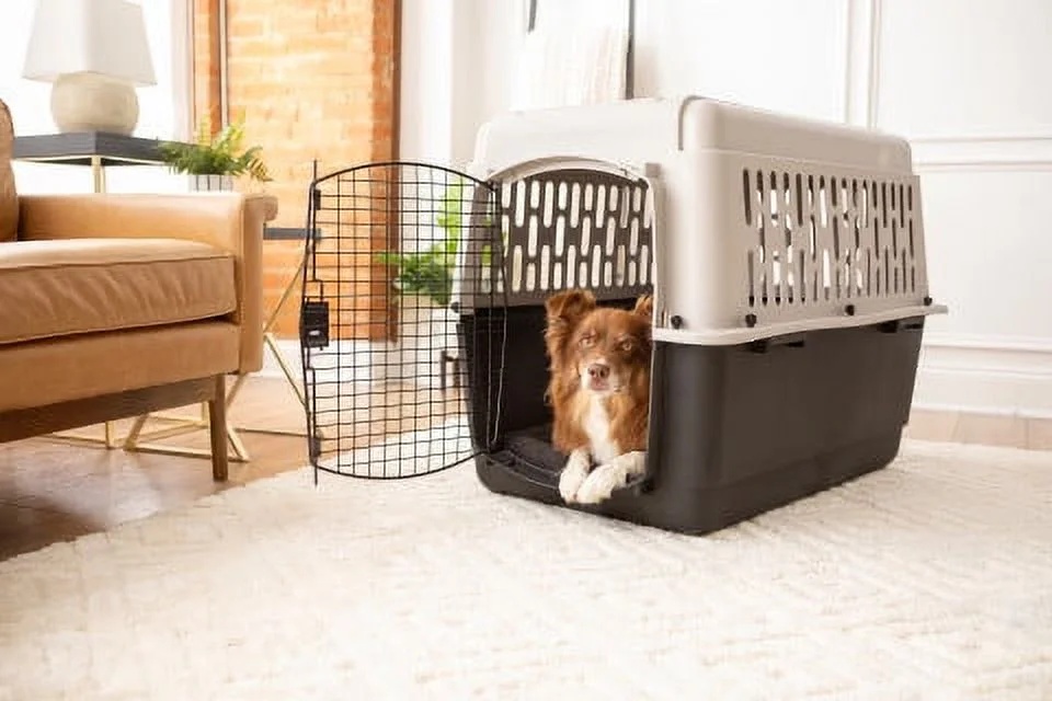 Vibrant Life Pet Kennel 19 X-Small Plastic Dog Crate Portable Carrier for Pets Up To 10 lbs